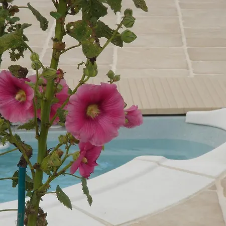 Prázdninový dům Ti-case