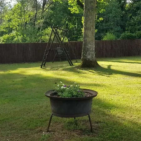 Ti-case Bussac-Foret