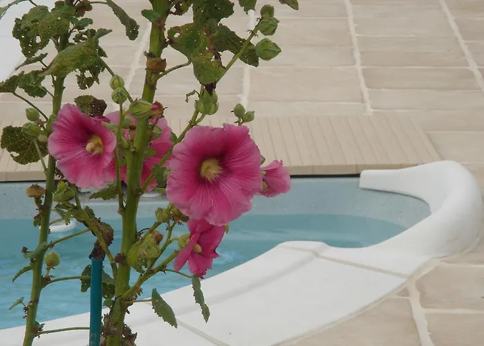 بيت للعطل Ti-case